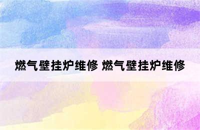 燃气壁挂炉维修 燃气壁挂炉维修